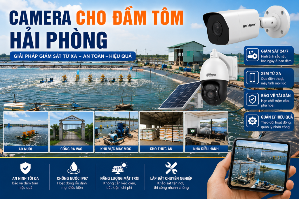 camera-cho-dam-tom-hai-phong