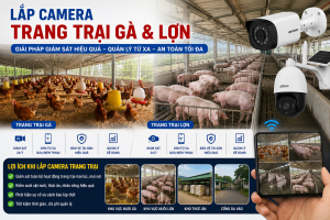 lap-camera-trang-trai-hai-phong